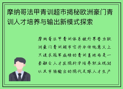 摩纳哥法甲青训超市揭秘欧洲豪门青训人才培养与输出新模式探索